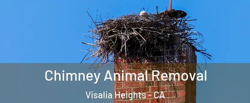 Chimney Animal Removal Visalia Heights - CA