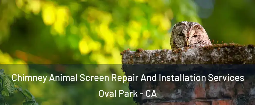 Chimney Animal Screen Repair And Installation Services Oval Park - CA