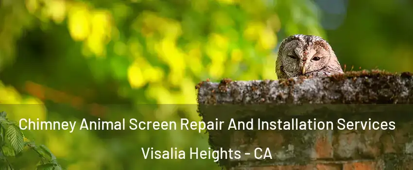 Chimney Animal Screen Repair And Installation Services Visalia Heights - CA