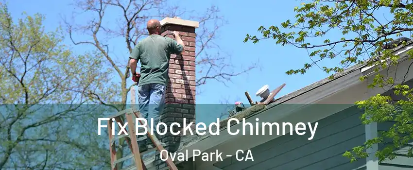 Fix Blocked Chimney Oval Park - CA