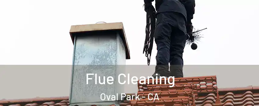 Flue Cleaning Oval Park - CA