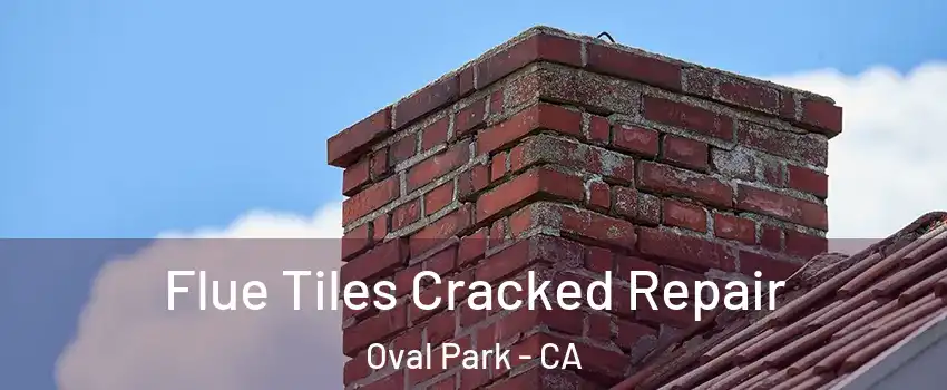 Flue Tiles Cracked Repair Oval Park - CA