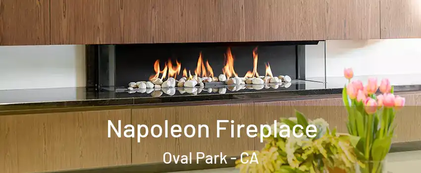 Napoleon Fireplace Oval Park - CA